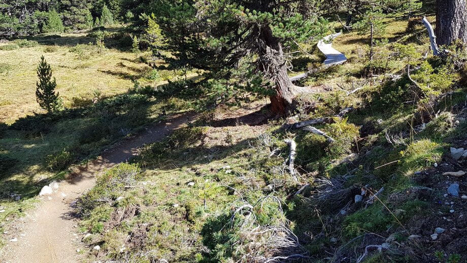 Weg auf der Fisserjoch Enduro Tour | © © Serfaus-Fiss-Ladis Marketing GmbH