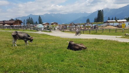 Schön gelegener Högsee | © © Serfaus-Fiss-Ladis Marketing GmbH