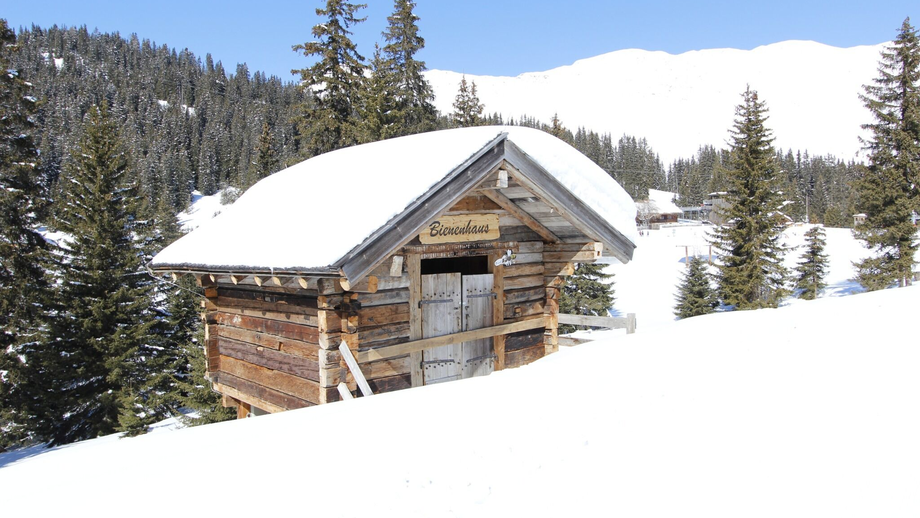 _mg_3628.JPG | © © Serfaus-Fiss-Ladis Marketing GmbH