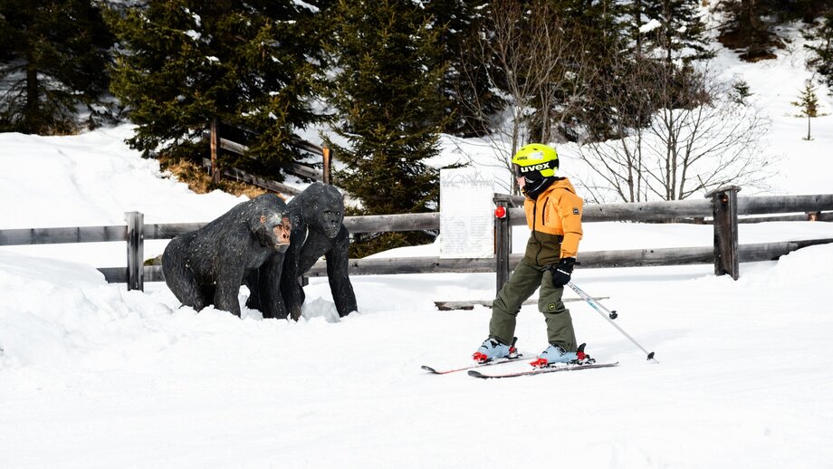 Apen | © © Serfaus-Fiss-Ladis Marketing GmbH_Manuel Kokseder