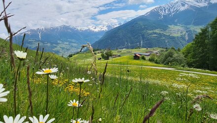 Wiesenweg.jpg | © © Serfaus-Fiss-Ladis Marketing GmbH
