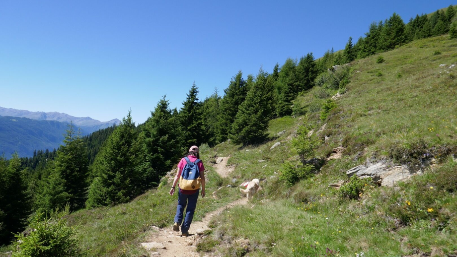 Höhensteig,Möseralm - Steinegg-Frommeshütte | © © Serfaus-Fiss-Ladis Marketing GmbH