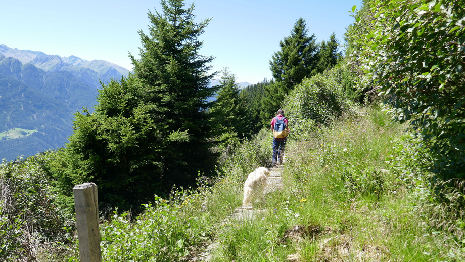 Höhensteig,Möseralm - Steinegg-Frommeshütte | © © Serfaus-Fiss-Ladis Marketing GmbH