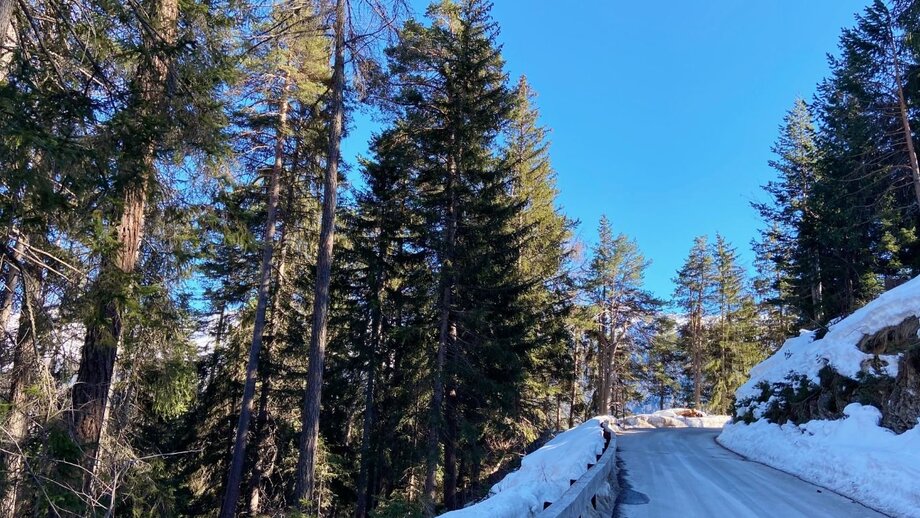 foto_02.03.21_14_18_11_838119867.jpg | © © Serfaus-Fiss-Ladis Marketing GmbH