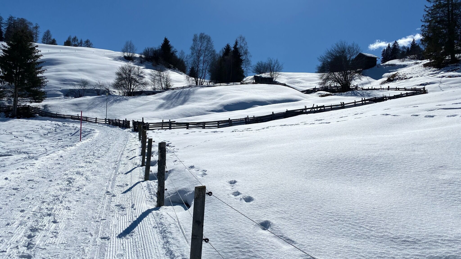 muanesweg_fallmied_c_serfaus-fiss-ladis_marketing_gmbh_37.JPG | © © Serfaus-Fiss-Ladis Marketing GmbH