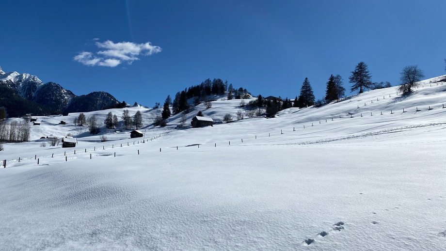 muanesweg_fallmied_c_serfaus-fiss-ladis_marketing_gmbh_42.JPG | © © Serfaus-Fiss-Ladis Marketing GmbH