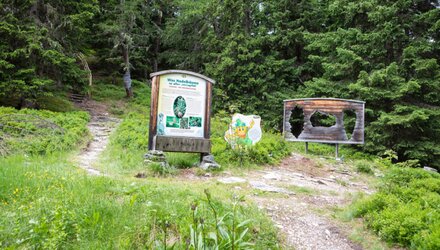 Station bei dem Natur Themensteig Fisser Gonde | © © Serfaus-Fiss-Ladis Marketing GmbH
