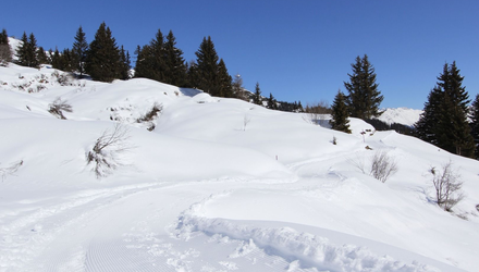 panorama-genussweg1.JPG | © © Serfaus-Fiss-Ladis Marketing GmbH