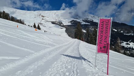 panorama-genussweg_waldbahn-moeseralm_c_serfaus-fiss-ladis_marketing_gmbh_14.jpg | © © Serfaus-Fiss-Ladis Marketing GmbH