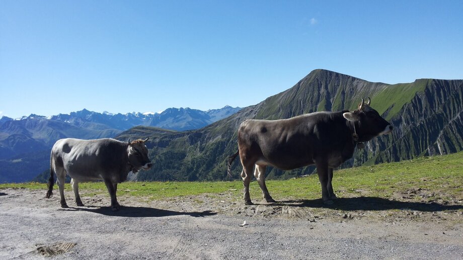 Wanderung zur Hexenseehütte | © © Serfaus-Fiss-Ladis Marketing GmbH