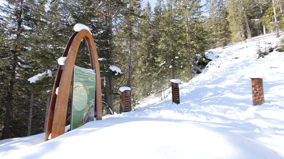 Station auf dem Six-Senses-Weg | © © Serfaus-Fiss-Ladis Marketing GmbH