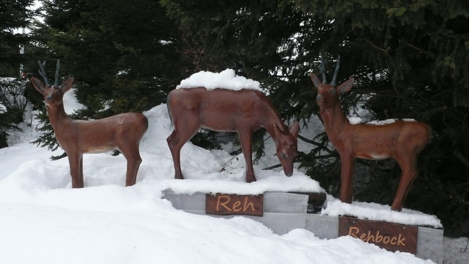 reh.JPG | © © Serfaus-Fiss-Ladis Marketing GmbH