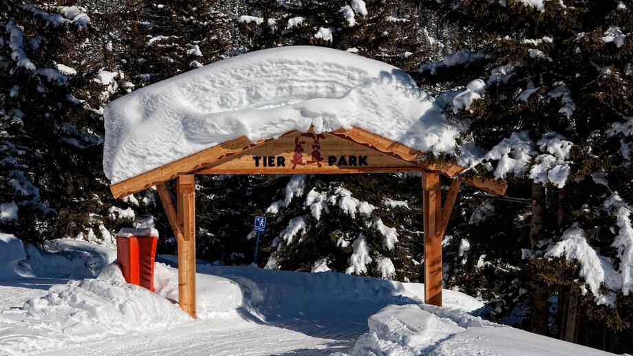 Tierpark | © © Serfaus-Fiss-Ladis Marketing GmbH