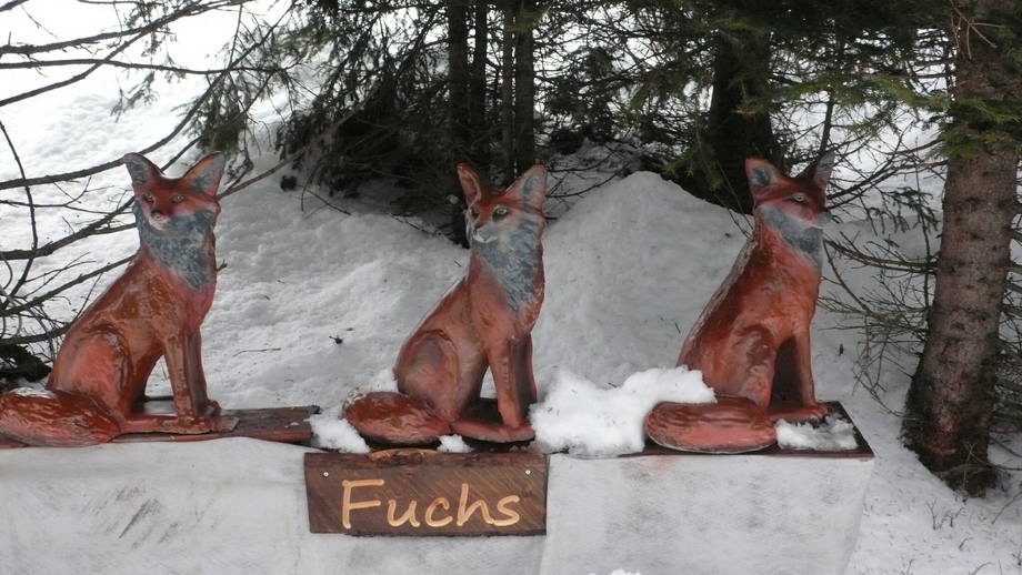Fuchs | © © Serfaus-Fiss-Ladis Marketing GmbH