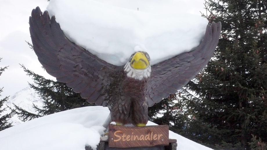 Steinadler | © © Serfaus-Fiss-Ladis Marketing GmbH