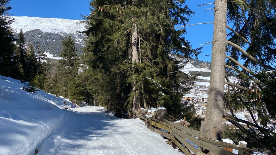 waldweg_nach_fiss9.JPG | © © Serfaus-Fiss-Ladis Marketing GmbH