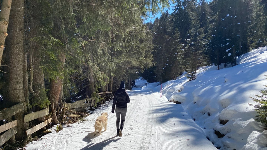 waldweg_nach_fiss4.JPG | © © Serfaus-Fiss-Ladis Marketing GmbH