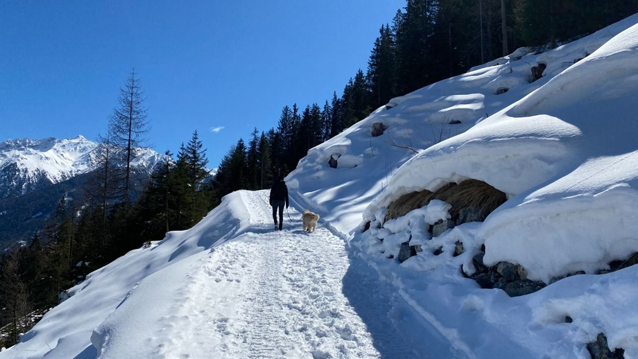 waldweg_nach_fiss5.JPG | © © Serfaus-Fiss-Ladis Marketing GmbH