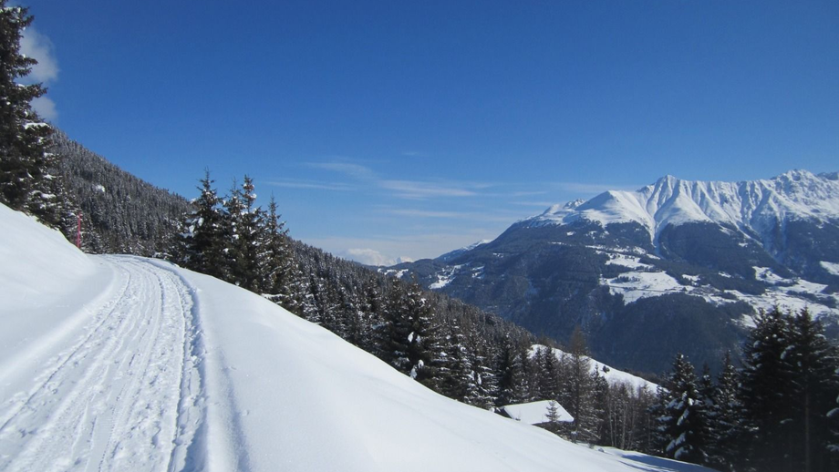 waldweg_schoengampalm1.JPG | © © Serfaus-Fiss-Ladis Marketing GmbH