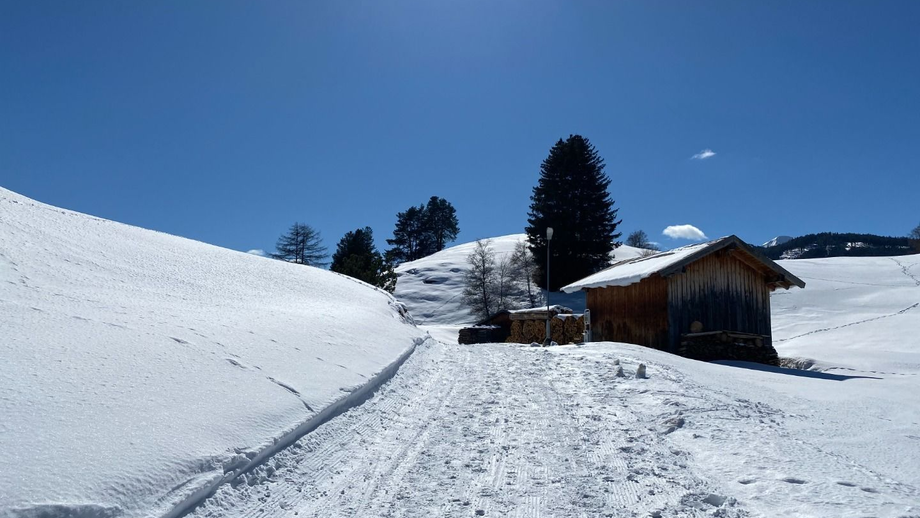 fallmied_nach_serfaus2.JPG | © © Serfaus-Fiss-Ladis Marketing GmbH