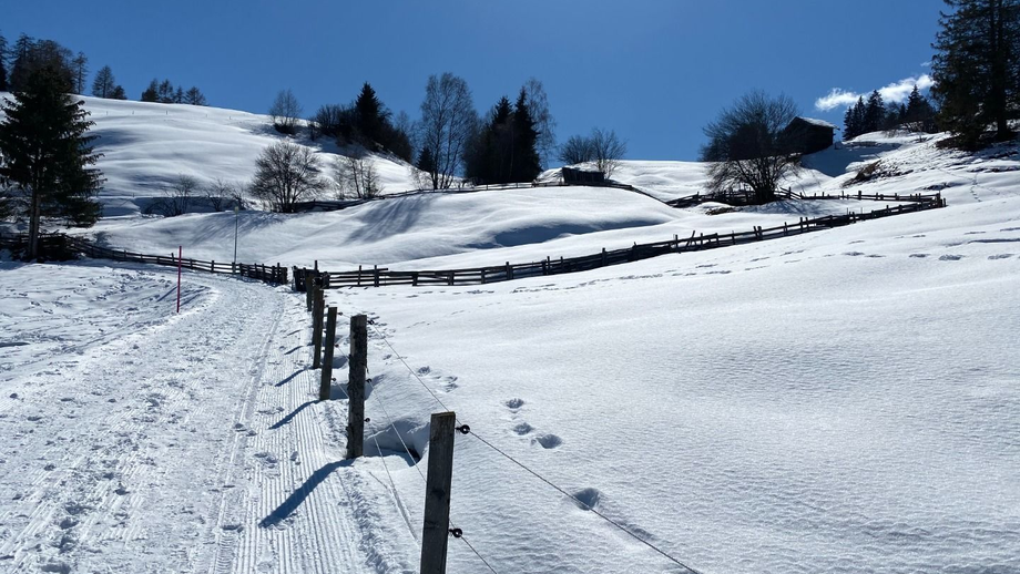 fallmied_nach_serfaus6.JPG | © © Serfaus-Fiss-Ladis Marketing GmbH