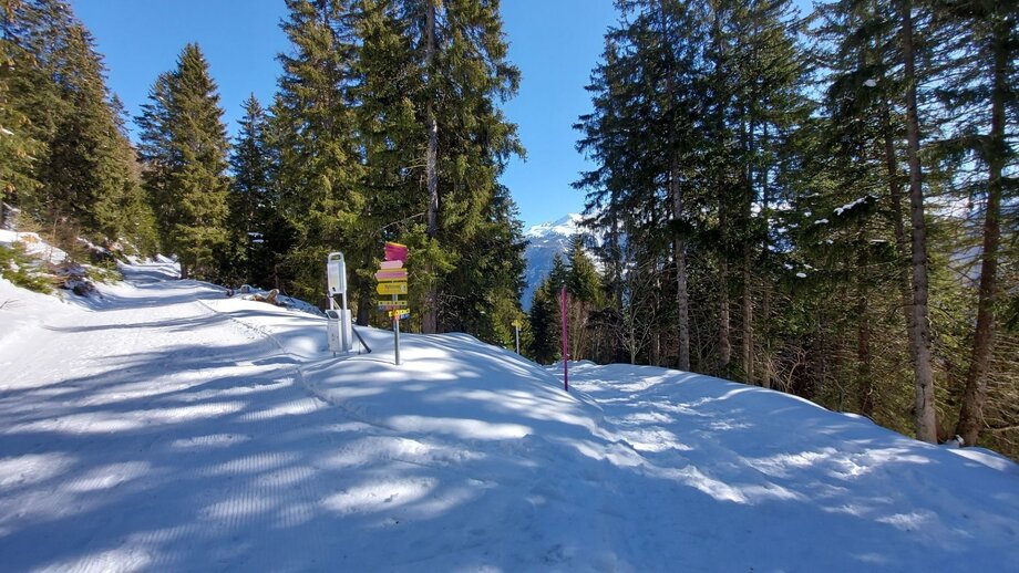 wanderweg_obladis10_732914301.jpg | © © Serfaus-Fiss-Ladis Marketing GmbH