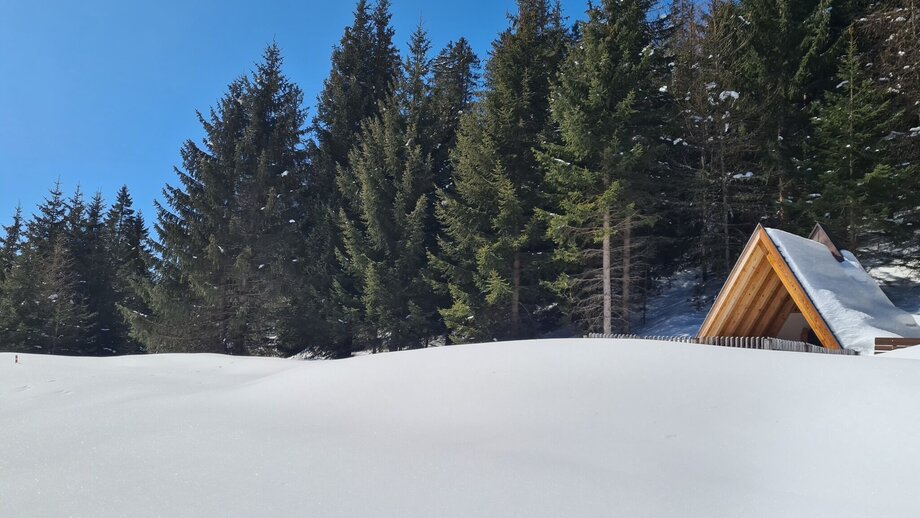 wodeturm_ueber_asterhof_c_serfaus-fiss-ladis_marketing_gmbh_7.jpg | © © Serfaus-Fiss-Ladis Marketing GmbH