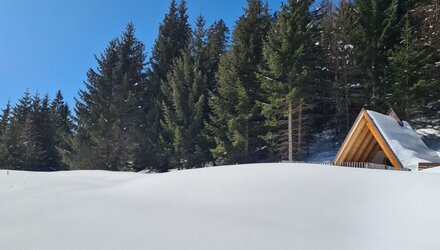 wodeturm_ueber_asterhof_c_serfaus-fiss-ladis_marketing_gmbh_7.jpg | © © Serfaus-Fiss-Ladis Marketing GmbH