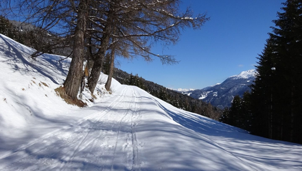 nr_4_bis_rabuschl_-_dsc02837.JPG | © © Serfaus-Fiss-Ladis Marketing GmbH