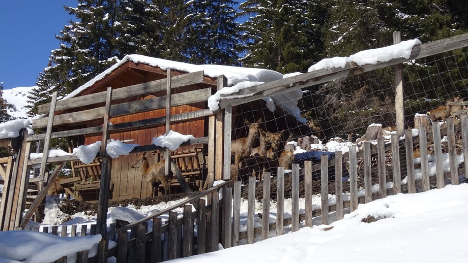 nr_6_zur_frommes_alp_-_dsc02873.JPG | © © Serfaus-Fiss-Ladis Marketing GmbH