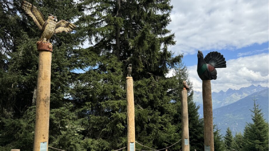 Staton Waldvögel | © © Serfaus-Fiss-Ladis Marketing GmbH