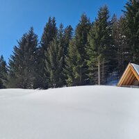 Wanderweg zum Wodeturm | © © Serfaus-Fiss-Ladis Marketing GmbH