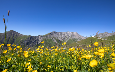 Erlebt einen einzigartigen Sommerulaub in den Bergen von Serfaus-Fiss-Ladis | © Serfaus-Fiss-Ladis Marketing GmbH | Andreas Kirschner