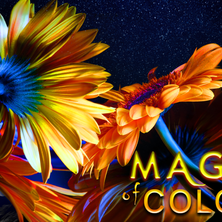 Adventure Night 2026_26