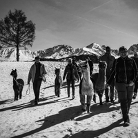 Panoramatour Beutelkopf