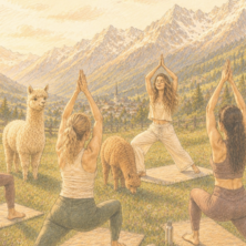 Alpaka Yoga