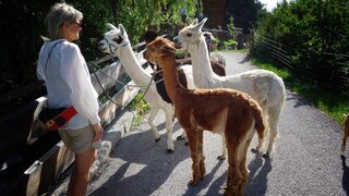 Hiking tour | © alpkahofserfaus.com