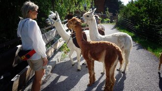 Hiking tour | © alpkahofserfaus.com