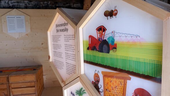 Inside the bee house