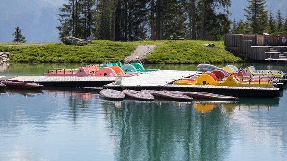 Pedal boat and Stand-Up-Paddle