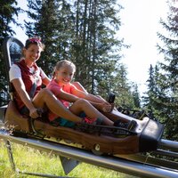 Familien-Coaster-Schneisenfeger