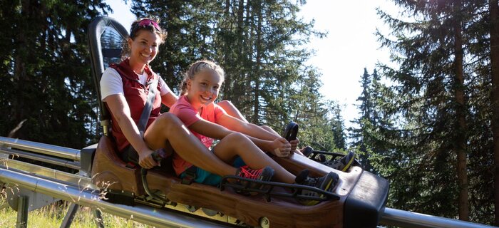 Familien-Coaster-Schneisenfeger