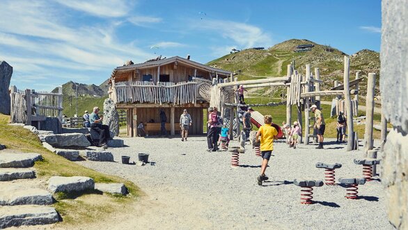 Fun for the whole family