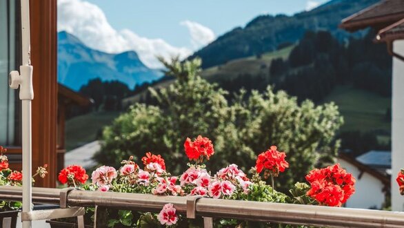 Groß ((c)_LeiterMichael_Stüberl_Terasse-30)