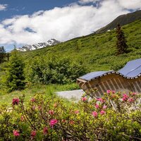 Wohlfühlstation Sommer