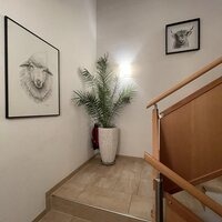 IMG_9803
