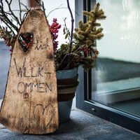 IMG_0480-20150214-768x512px