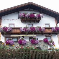 pinzgerhof